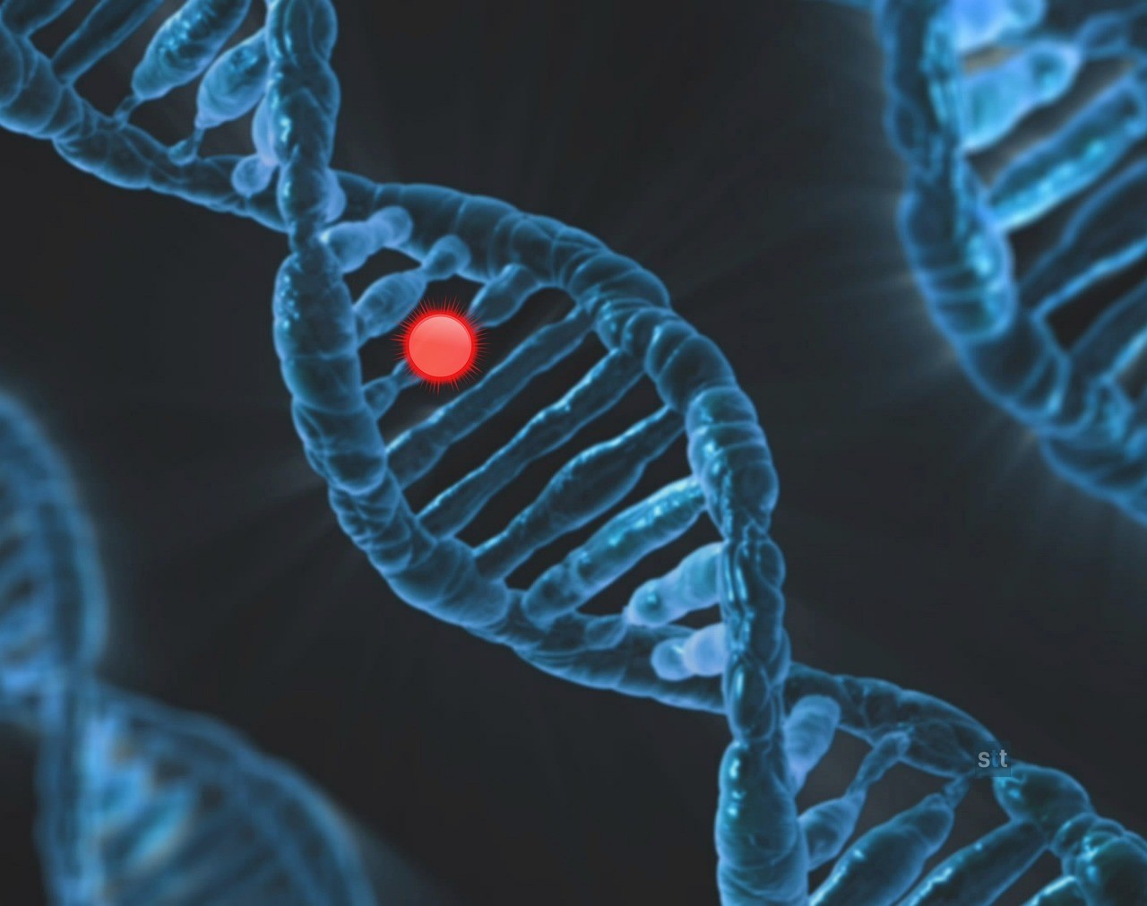 Alt image -https://content.stockstotrade.com/wp-content/uploads/2026/08/txg-jumps-as-10x-genomics-earns-big-target-hikes.jpg